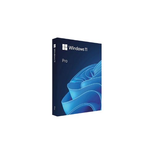 Microsoft Windows 11 Professional 32/64 Bit ENG Intl USB (Bundle with PC)